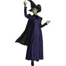 Elphaba Deluxe Adult Costume