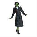 Wicked Costumes