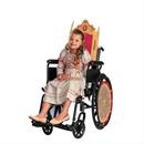Kids Adaptive Wicked Nessa Rose Dress Costume