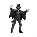 Kids Classic How to Train Your Dragon Live Action Toothless Costume