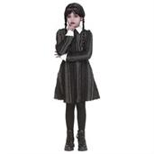 The Adams Family Costumes