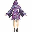 Adults Ghost Face Two-Tone Chrome Dress Costume