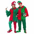 Adults Red, Green & Gold Elegant Elf Costume