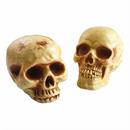 8\ Brown Plastic Skull Halloween Decoration