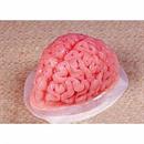 9 3/4" Brain-Shaped Clear Gelatin Mold