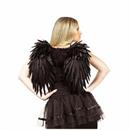 Adults Angel Wings Black Feathers Costume