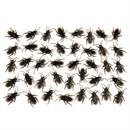 COCKROACHES 40PCS