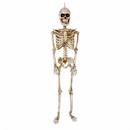 36" Posable Articulated Skeleton Halloween Decoration