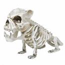 13\ Plastic Skele-Bulldog Halloween Decoration