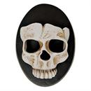 6\ Skull Wall Sconce Halloween Dcor