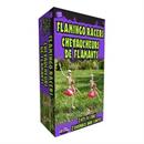 Skeleton Flamingo Racers Outdoor Halloween Decoration