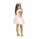 Bunny Costumes
