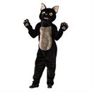 Cat Costumes
