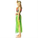 Hawaiian (Aloha) Costumes