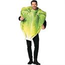 Adult's Romaine Lettuce Leaf Costume