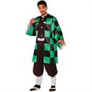 Cartoon & Animated Costumes
