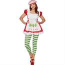 Adults Strawberry Shortcake Strawberry Shortcake Costume