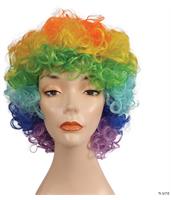 FD Curly Clown Wig