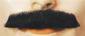 Mustache M3 - Synthetic