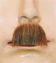 Chaplin Mustache EM21 - Synthetic