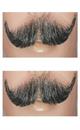 English Mustache - Synthetic