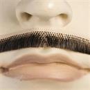 Adults Human Hair Errol Flynn Mustache Light Brown 10