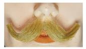Small English M10 Mustache - Blend
