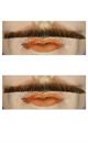 Errol Flynn Mustache - Blend