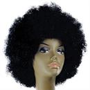 Deluxe Afro Wig