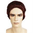 Men's Ponytail Wig