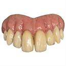 Bitemares Horror Teeth Goofy Plastic Teeth Costume Accessory