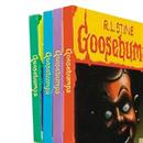 GoosebumpsT Night of the Living Dummy Book Cover Magnet
