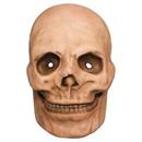 Catacomb Skull Plastic Overhead Mask - One Size 10" x 6"