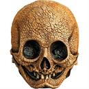 Adults Illusive Concepts Cranial Skull Overhead Latex Mask