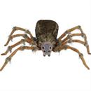 SPIDER BROWN WOLF DLX LIGHTUP