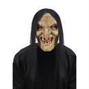 Wretched Witch Mask