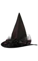 Deluxe Iridescent Witch Hat - Adult