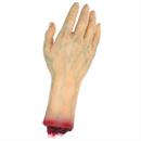 SEVERED RIGHT HAND