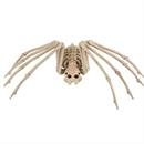 Skeleton Spider Prop