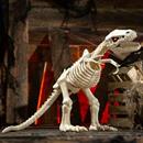 Animated Light-Up Tyrannosaurus Rex Skeleton Halloween Decoration, 15 1/2"