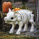 24 1/4" Standing Pig Skeleton Halloween Decoration