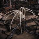 40" Creepy Spider Skeleton Halloween Decoration