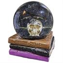 5\ Skull Water Globe on Spell Books Halloween Decoration