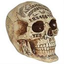 Fortune Teling Skull Halloween Decoration 7"
