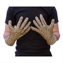 SCARECROW HANDS