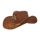 Western Cowgirl 