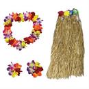 Hawaiian (Aloha) Accessories & Makeup