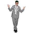 Adults Spooky Striped Suit Costume