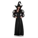 Adults Spider Web Mistress Black Lace Front Dress with Witch Hat Costume