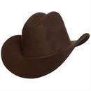 Cowboy 